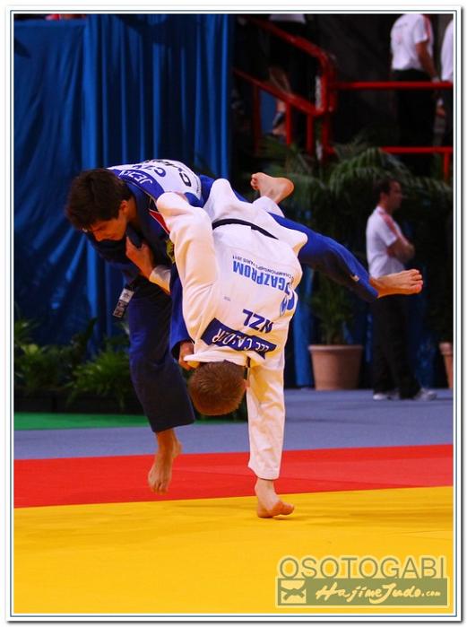 WCPARIS2011 90022
